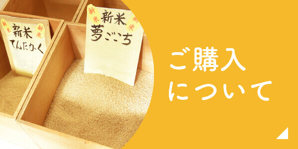 ご購入についてはこちら